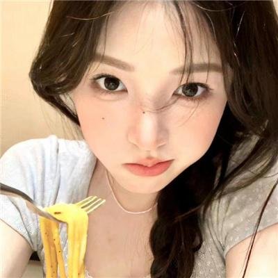 鸽之翼